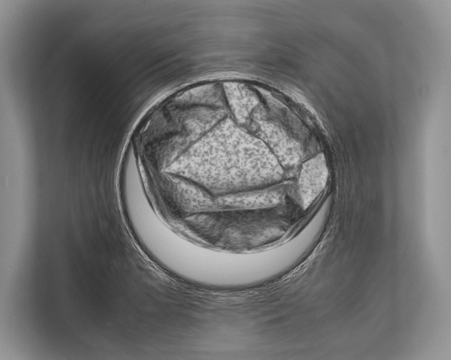 X0000112811181200909181544