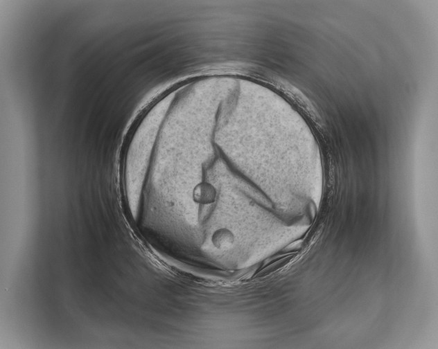 X0000112811184200909181544