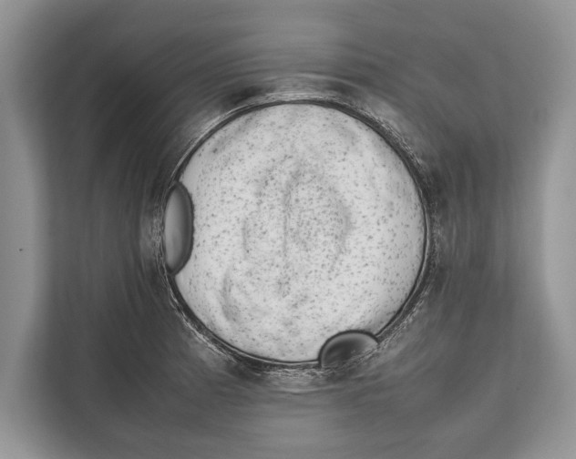 X0000112811185200909181544