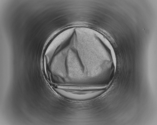 X0000112811188200909181544