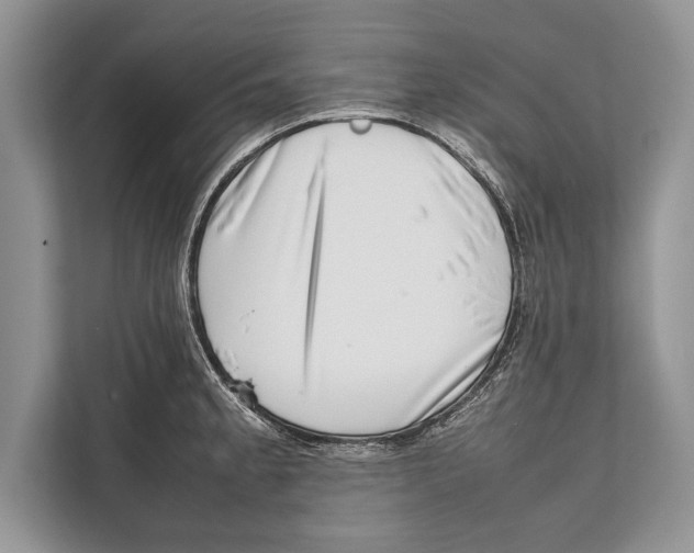 X0000112811189200909181544