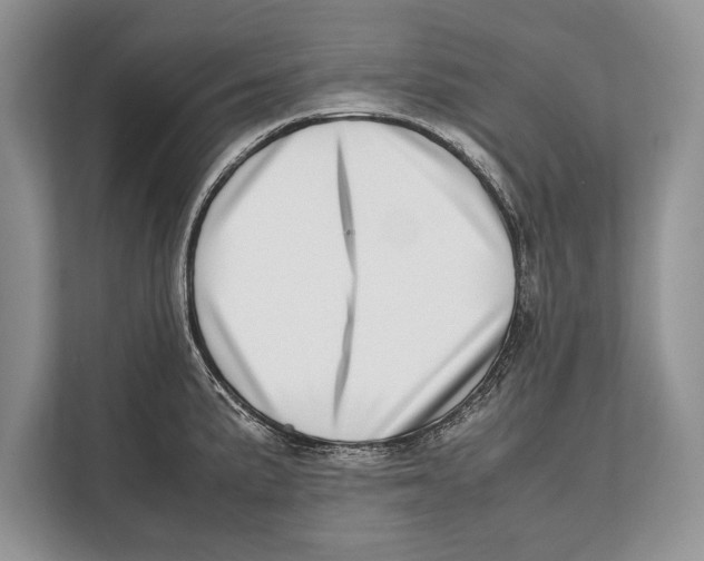 X0000112811191200909181544