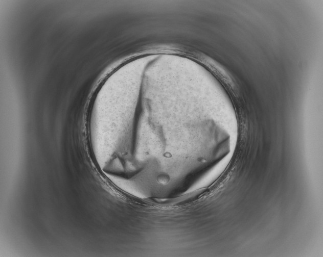 X0000112811192200909181544