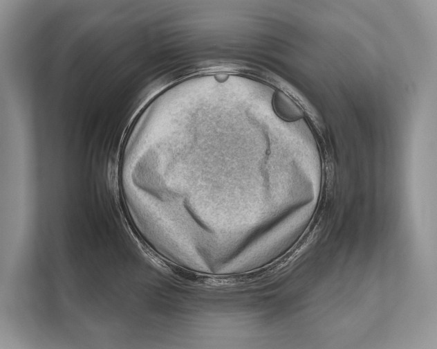 X0000112811194200909181544