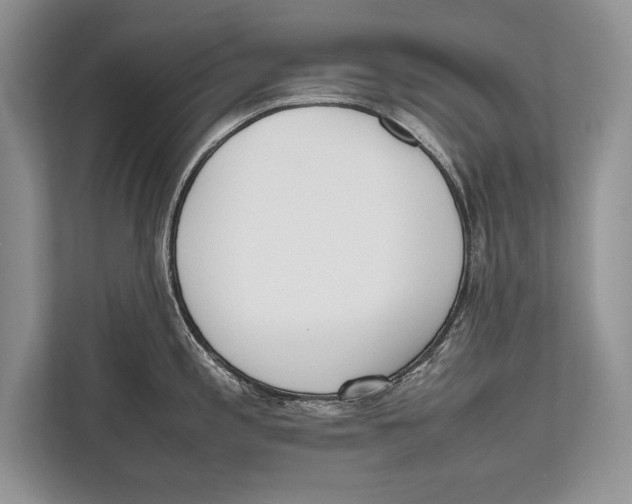 X0000112811197200909181544