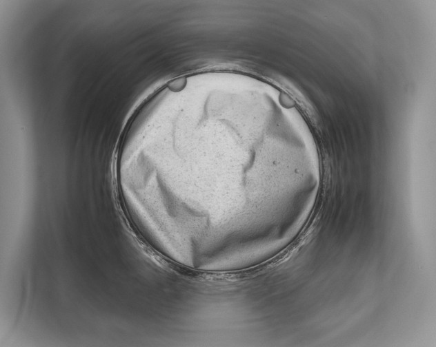 X0000112811198200909181544