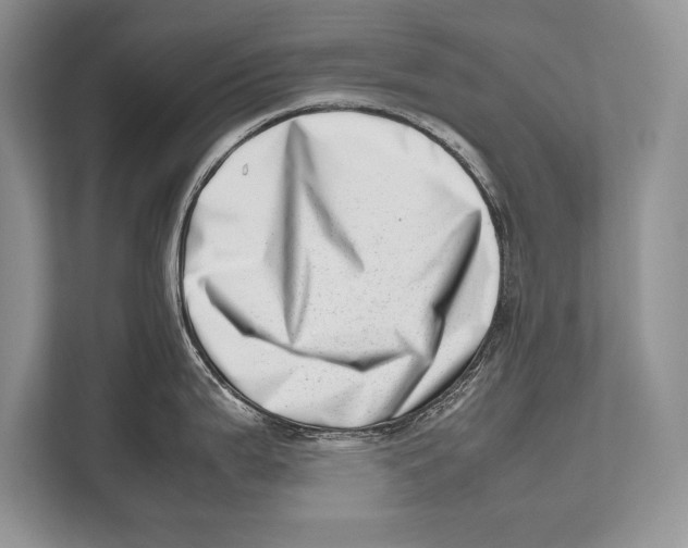 X0000112811199200909181544