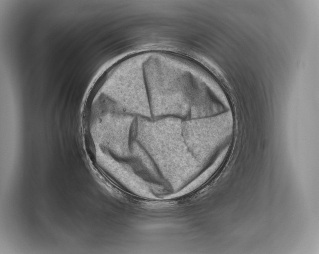 X0000112811200200909181544