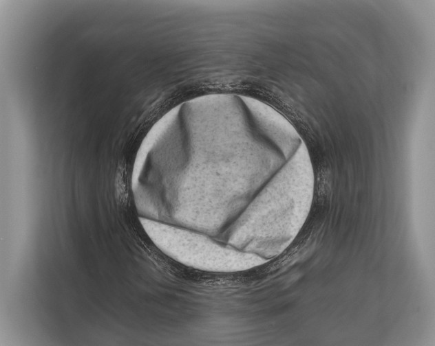 X0000112811202200909181543