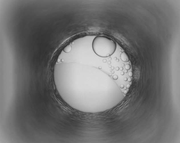 X0000112811208200909181543