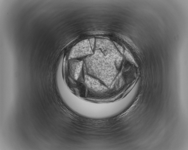 X0000112811209200909181543