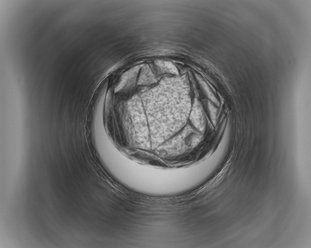 X0000112811210200909181543