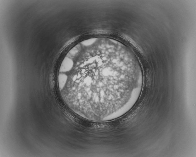 X0000112811213200909181543