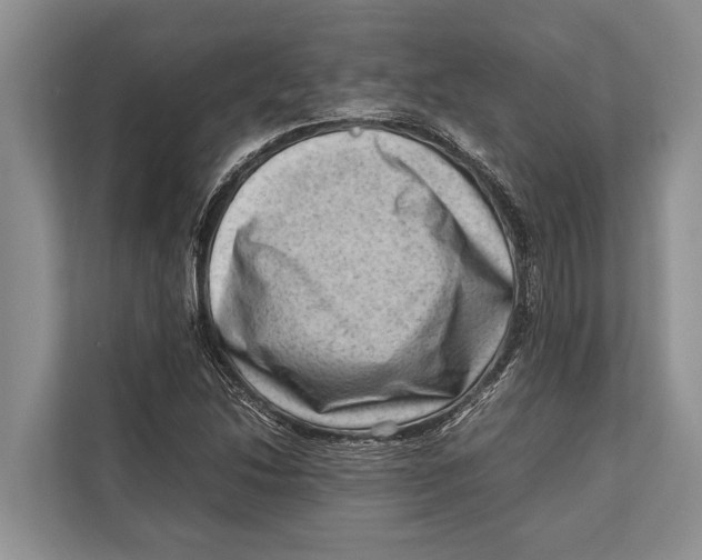 X0000112811214200909181543