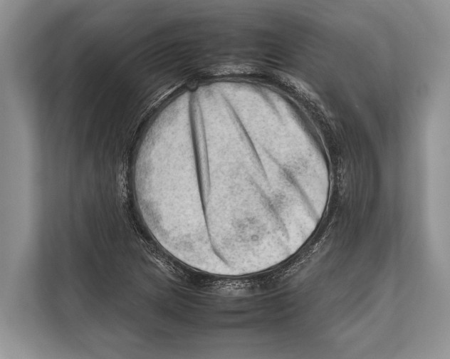 X0000112811217200909181543