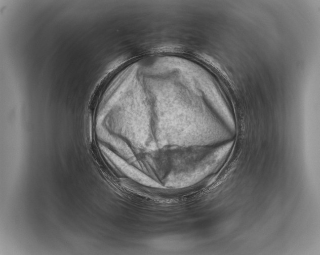 X0000112811219200909181543