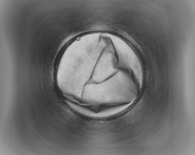 X0000112811222200909181543