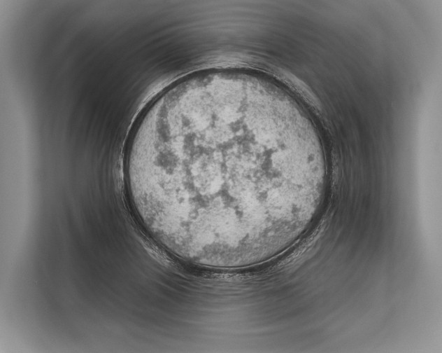 X0000112811226200909181543