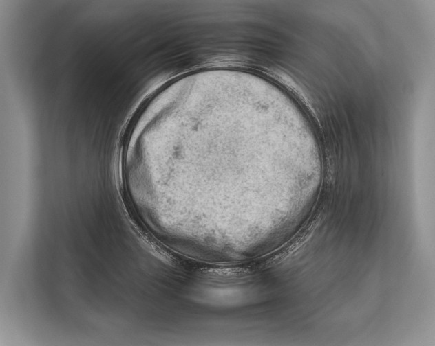 X0000112811227200909181543