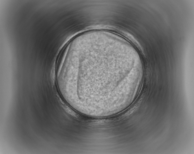 X0000112811228200909181543