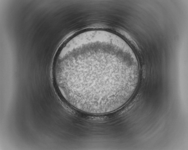 X0000112811229200909181543