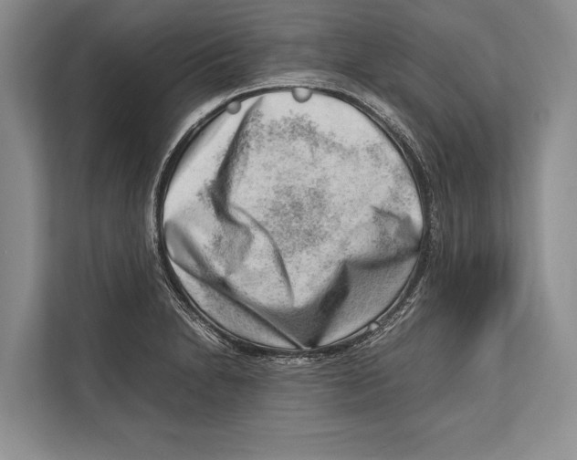 X0000112811230200909181544