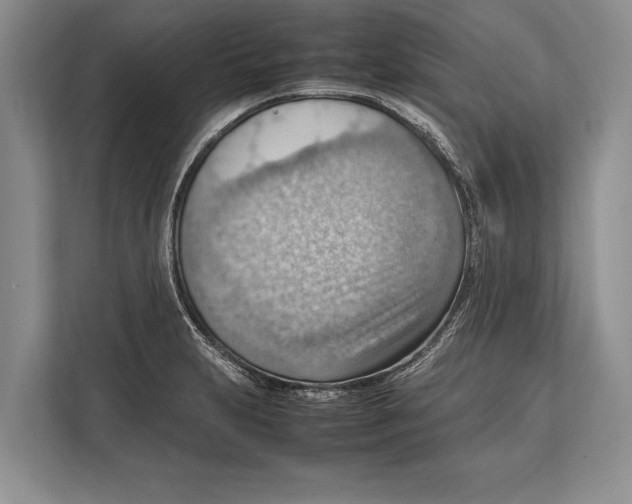 X0000112811231200909181544