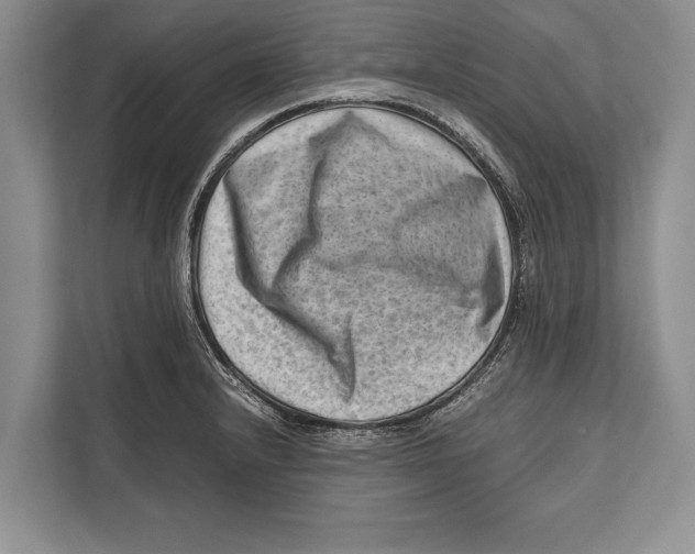 X0000112811232200909181544