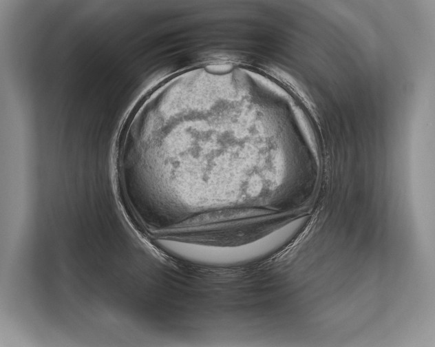 X0000112811235200909181544