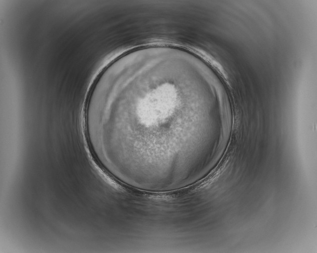 X0000112811239200909181544