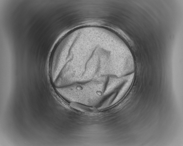 X0000112811240200909181544