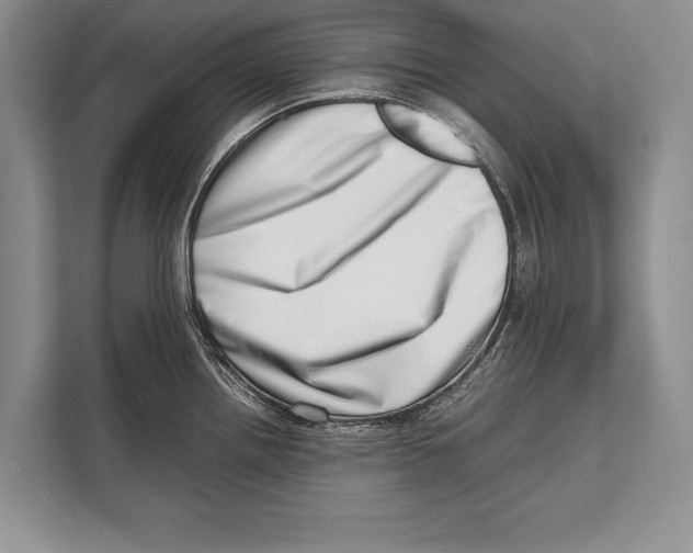 X0000112811242200909181544