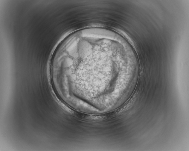 X0000112811243200909181544