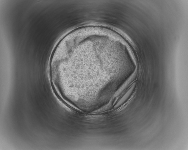 X0000112811247200909181544