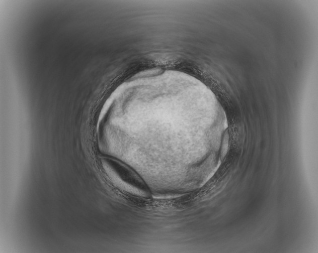 X0000112811249200909181543