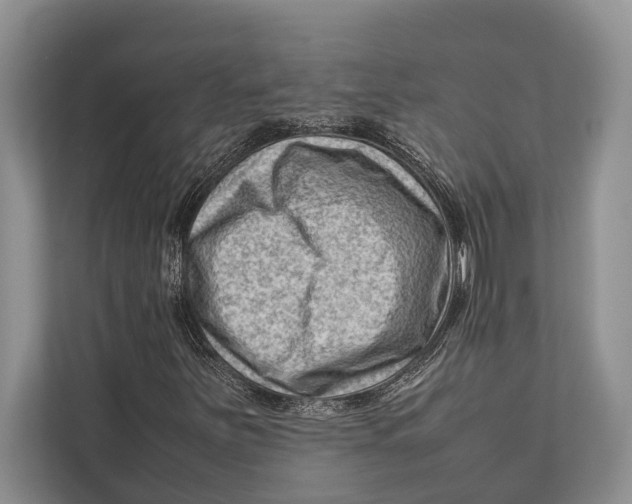 X0000112811251200909181543