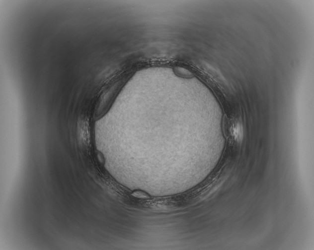 X0000112811252200909181543