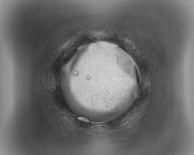 X0000112811253200909181543