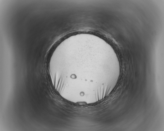 X0000112811256200909181543