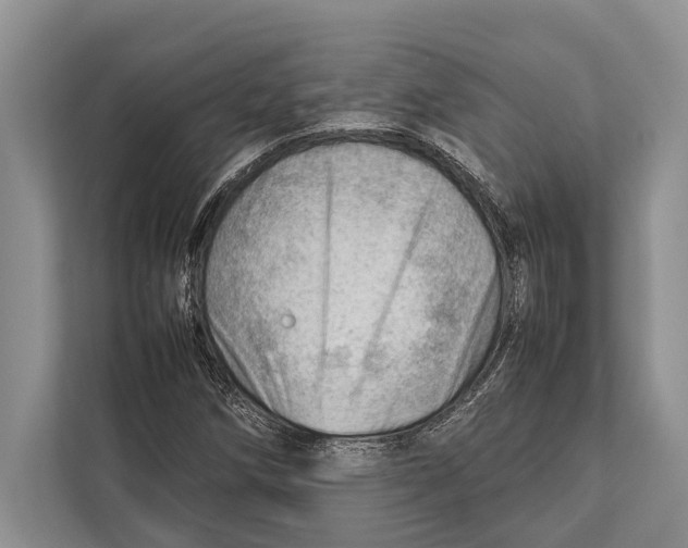 X0000112811258200909181543