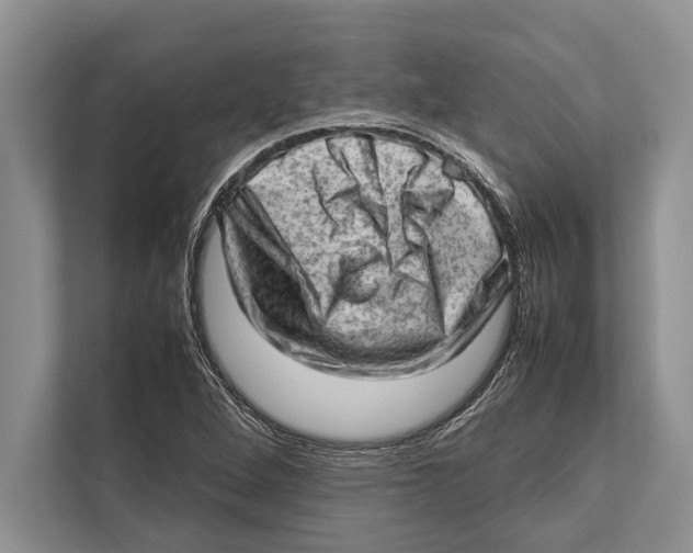 X0000112811264200909181543