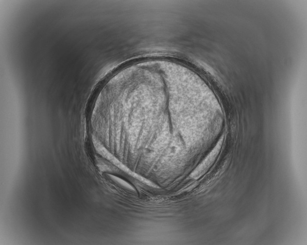 X0000112811267200909181543