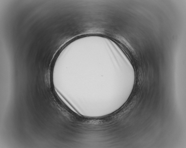 X0000112811268200909181543