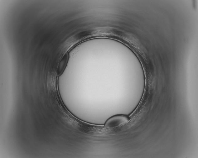 X0000112811273200909181543