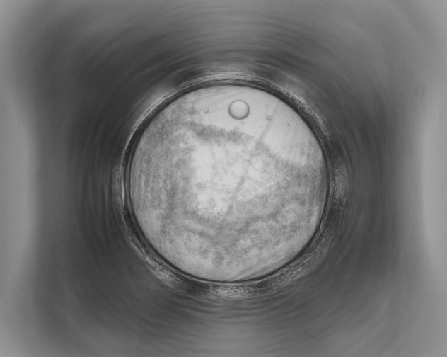 X0000112811274200909181543