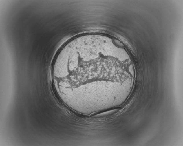 X0000112811275200909181543