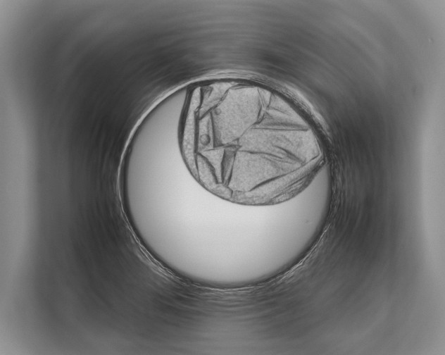 X0000112811276200909181543