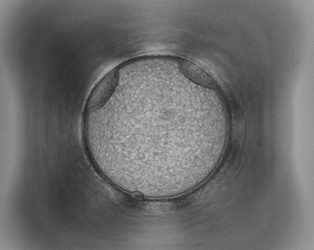 X0000112811277200909181543