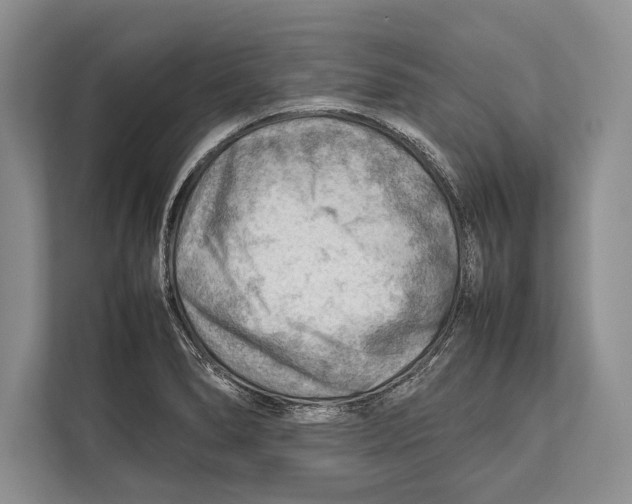 X0000112811278200909181543