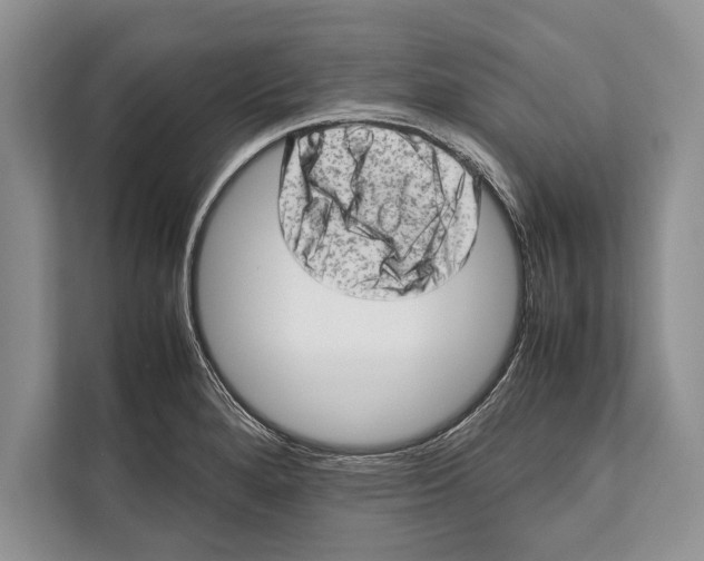 X0000112811280200909181543